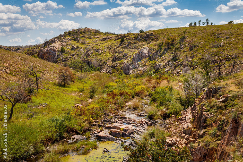 Mountain Stream