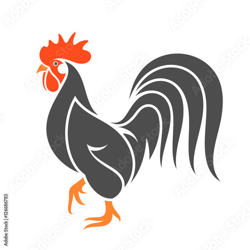 Black chicken