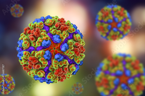 Chikungunya virus, 3D illustration. Emerging mosquito-borne RNA virus from Togaviridae family that can cause outbreaks of a debilitating arthritis-like disease photo