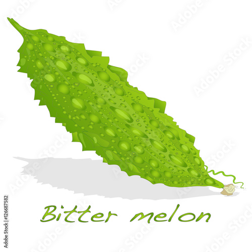 Bitter melon isolated