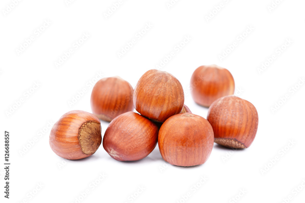 Group healty hazelnuts isolated on white background Group healty hazelnuts isolated on white background