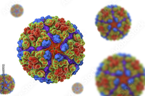 Chikungunya virus isolated on white background, 3D illustration. Emerging mosquito-borne RNA virus from Togaviridae family that can cause outbreaks of a debilitating arthritis-like disease