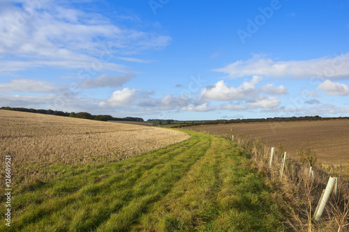 country bridleway