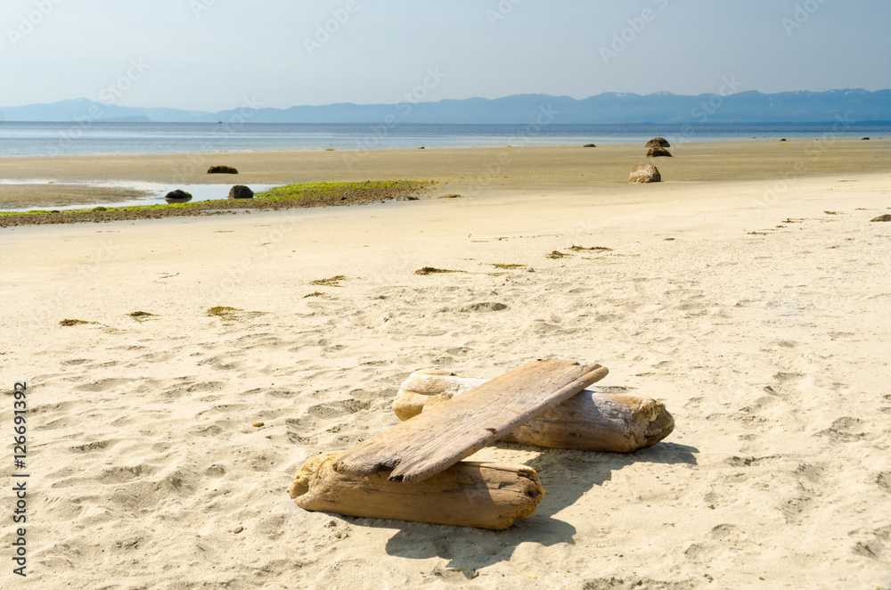 Picnic bench (log) on the beach of the ocean in Canada. Picnic bench (log) on the beach of the ocean in Canada.