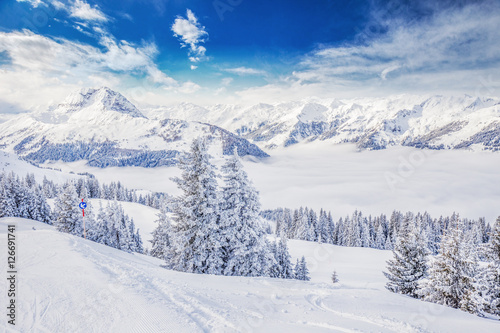 Trees and mountains covered by fresh snow in Kitzb  hel ski resort  Tyrolian Alps  Austria
