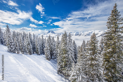 Trees and mountains covered by fresh snow in Kitzbühel ski resort, Tyrolian Alps, Austria