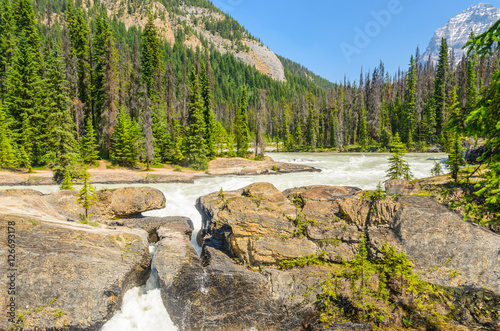 Majestic mountain river in Canada. Athabaska Falls in Alberta, Canada. photo