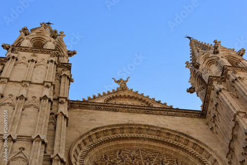 La Seu in Palma  photo