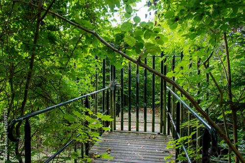 La porte de la forêt
