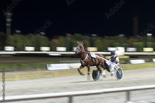 Panning effect - blurred picture horse sprints at race course