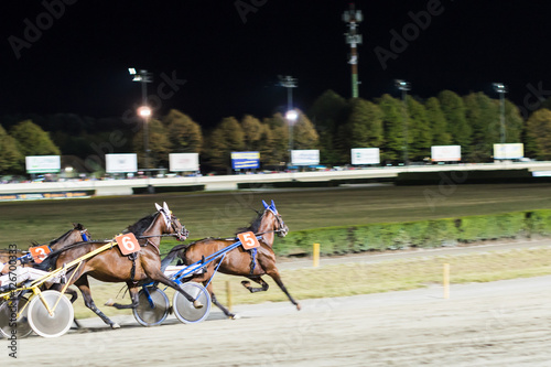 Panning effect - blurred picture horses sprints at race course