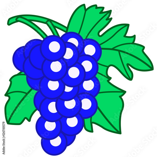 Bunch of blue grapes