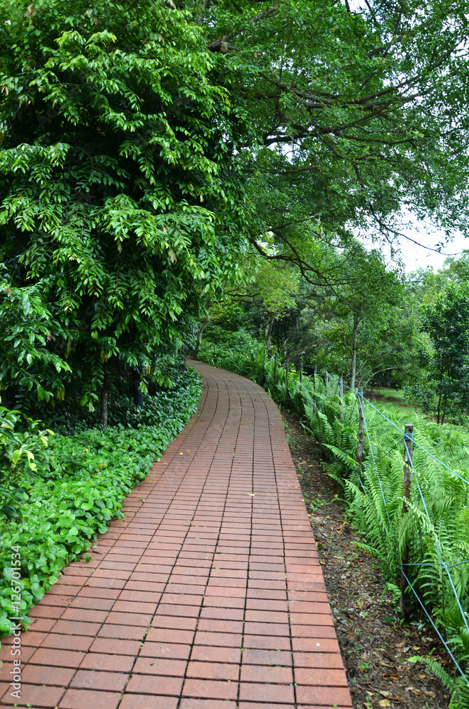 Red brick path in Singapore Botanic Garden Red brick path in Singapore Botanic Garden