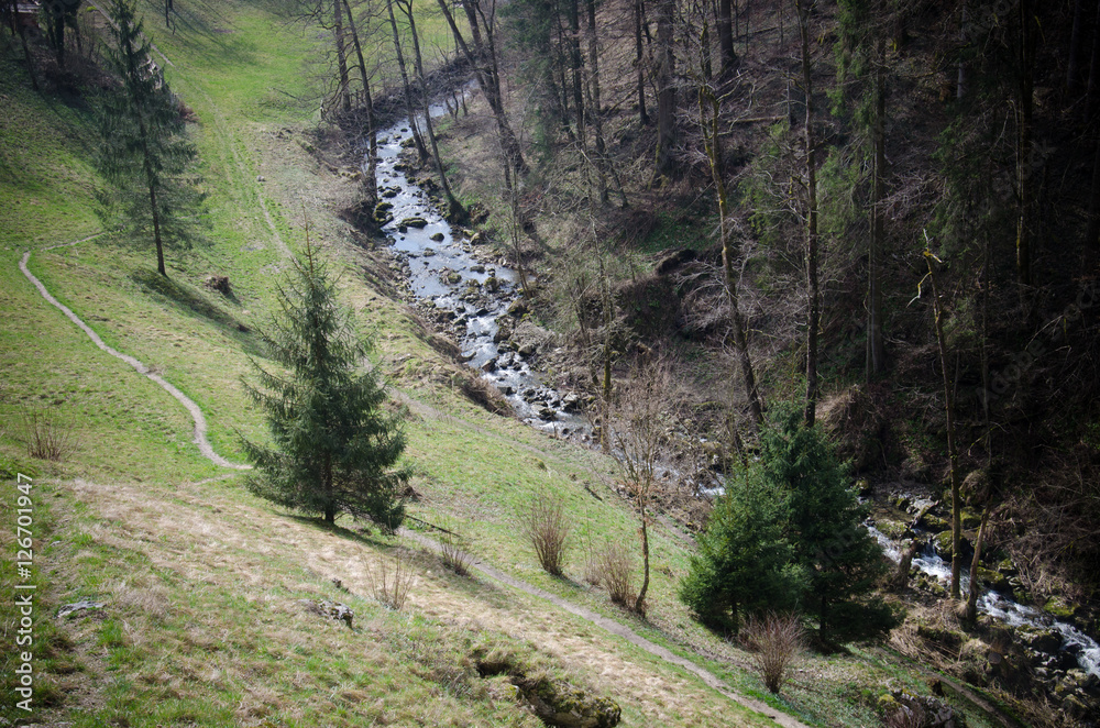 Beautiful view of the forest and river in Slovenia Beautiful view of the forest and river in Slovenia