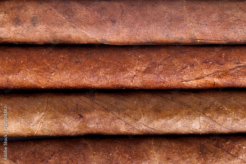 Chocolate Cigars in Row Chocolate Cigars in Row