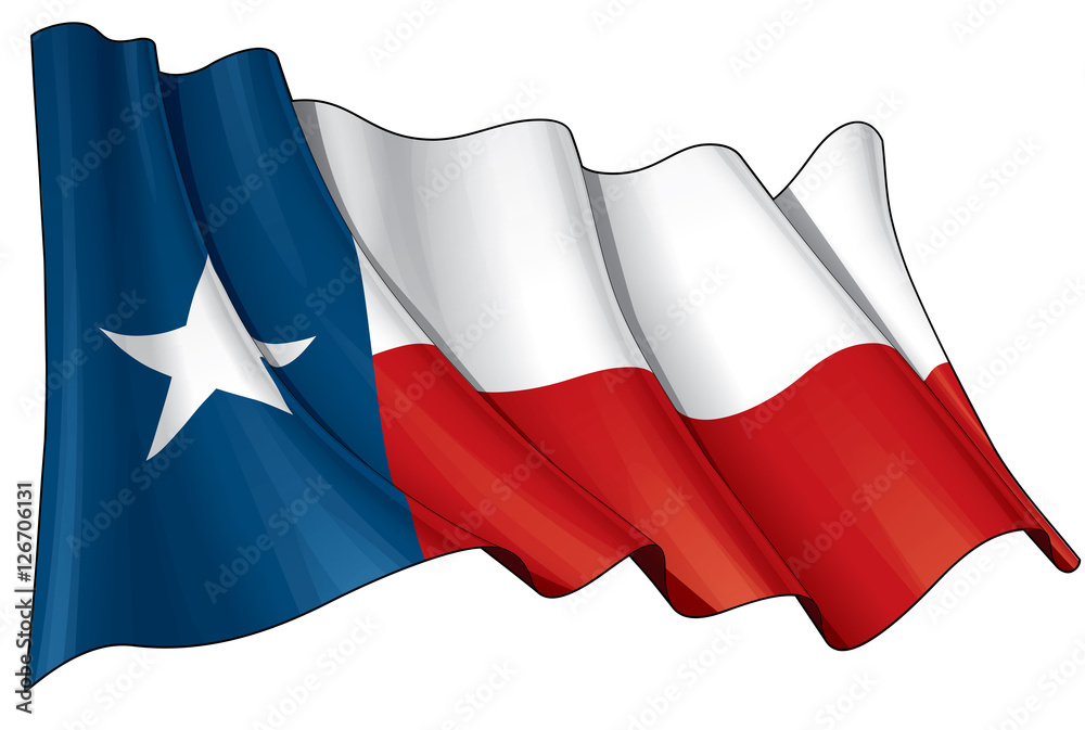 Obraz premium Texas Waving Flag.