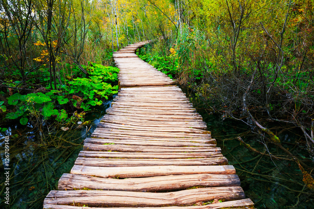 Obraz premium Boardwalk in the park Plitvice lakes