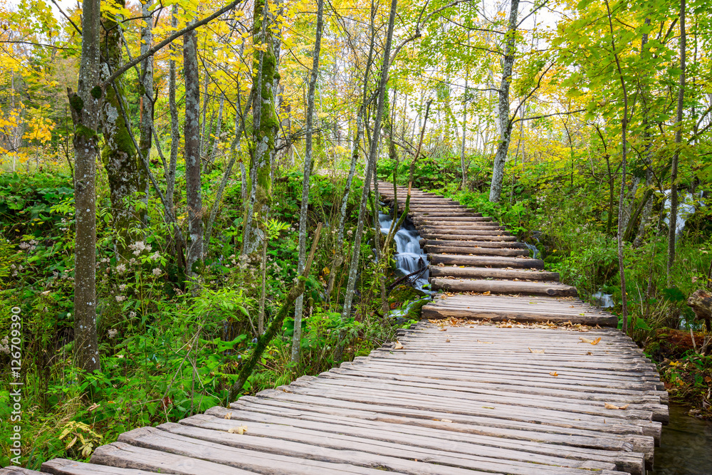 Boardwalk in the park Plitvice lakes Boardwalk in the park Plitvice lakes