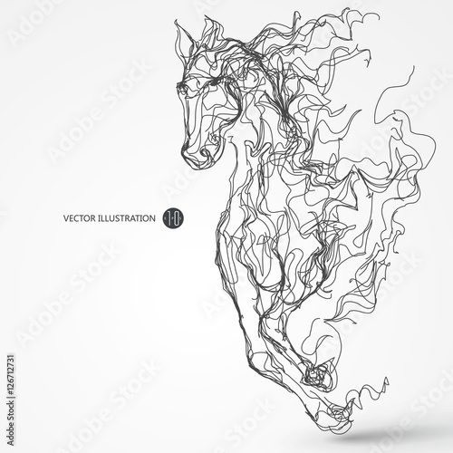 Running horse, lines drawing, vector illustration.