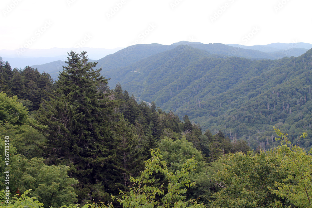 View of the Mountains in Great Smoky Mountains National Park