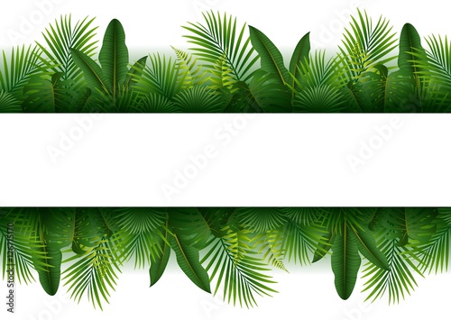 Tropical forest background