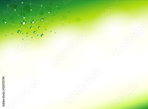 Background Collection Vol.01_Spider webs and water droplets

