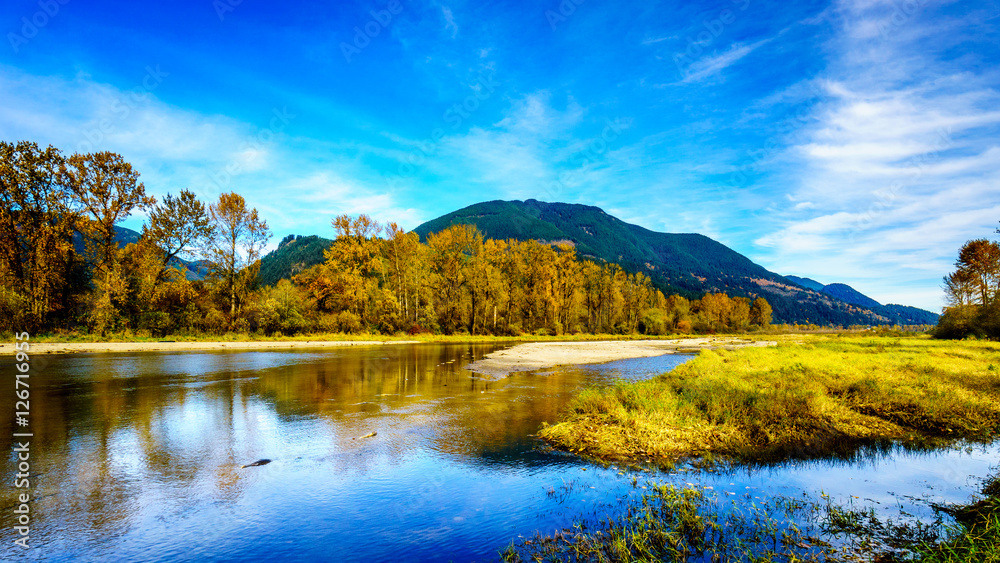 Fall Colors around Nicomen Slough, a branch of the Fraser River, as it flows through the Fraser Valley of British Columbia