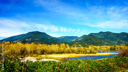 Fall Colors around Nicomen Slough, a branch of the Fraser River, as it flows through the Fraser Valley of British Columbia photo