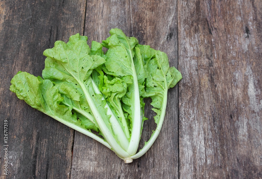 Fototapeta premium chinese cabbage organic vegetables on a wooden table. Insect eat leaf