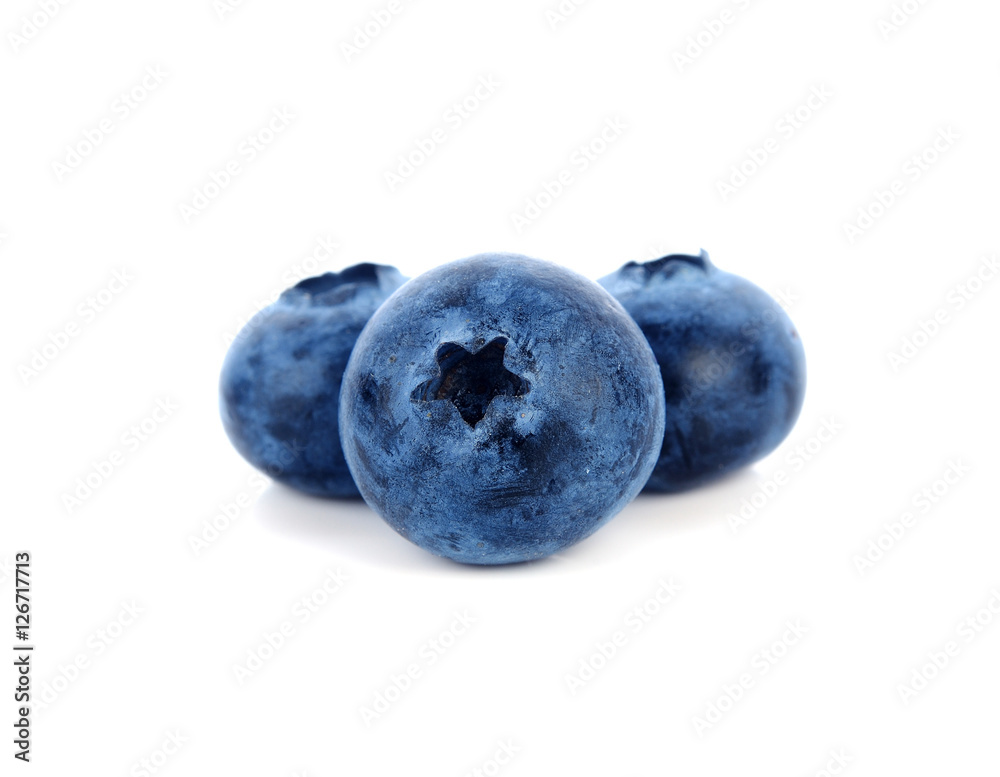 Obraz premium blueberries isolated on white background.