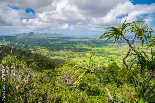 Stunning view of spectacular jungles, Kauai, Hawaii