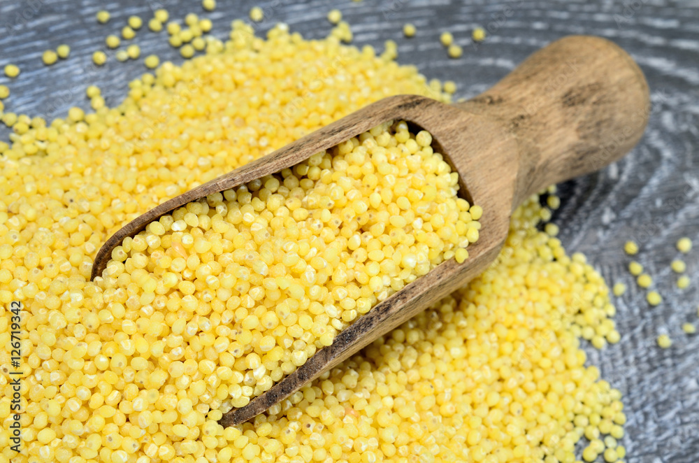 millet seed on table millet seed on table