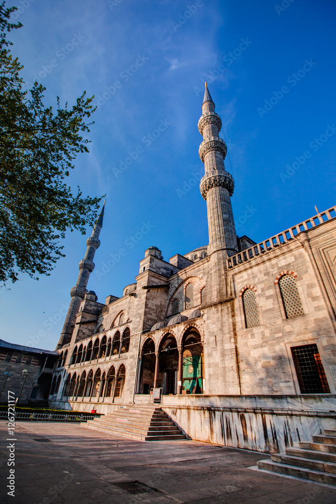 Fototapeta premium The Blue Mosque, (Sultanahmet Camii), Istanbul, Turkey.