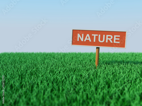 Nature Concept - 3D Rendered Image