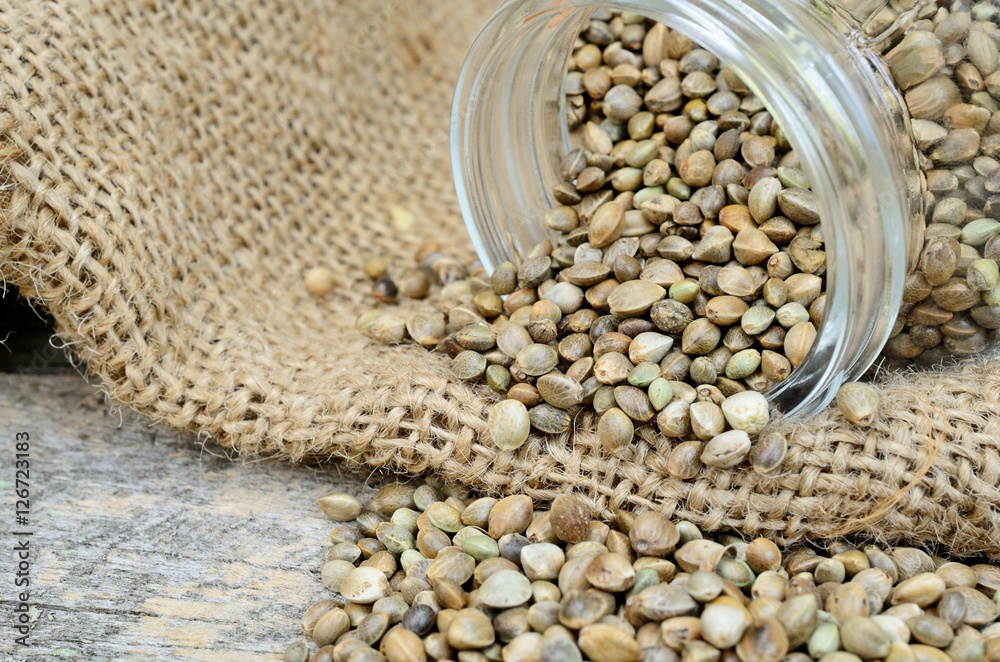 Obraz premium hemp seed in jar flow on table