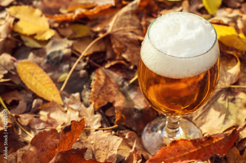 Beer in autumn forest