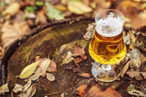 Beer in autumn forest