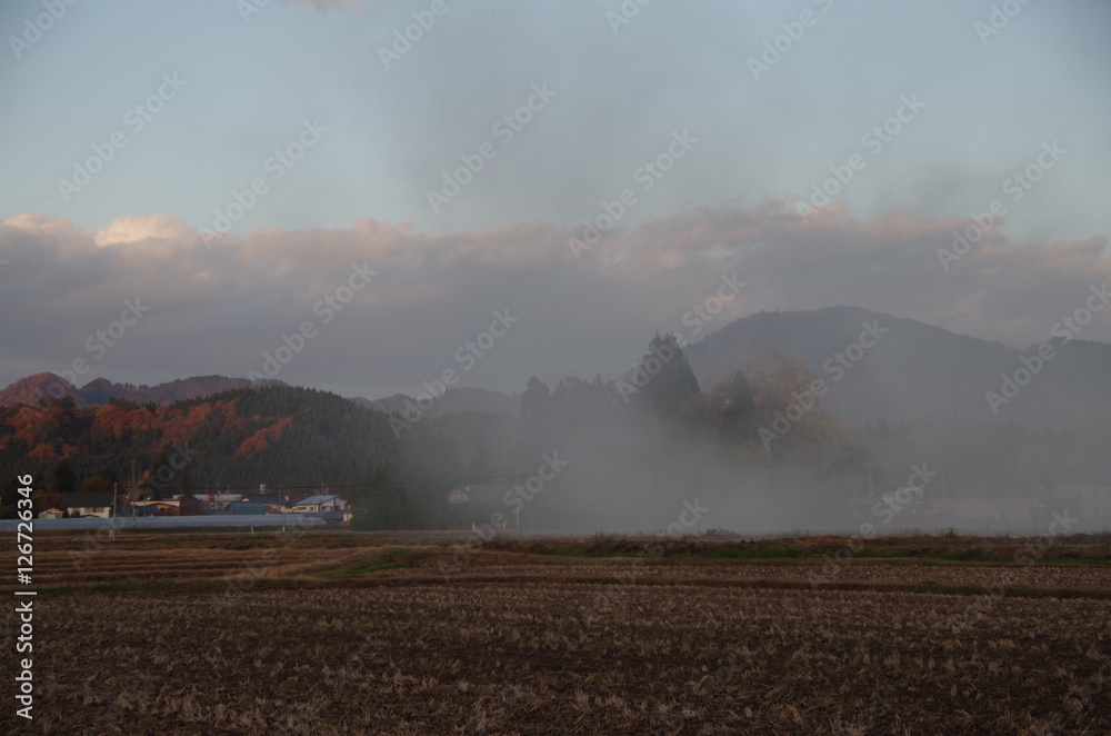Fototapeta premium 田んぼの煙