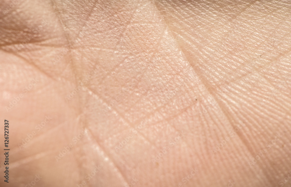Fototapeta premium Human skin