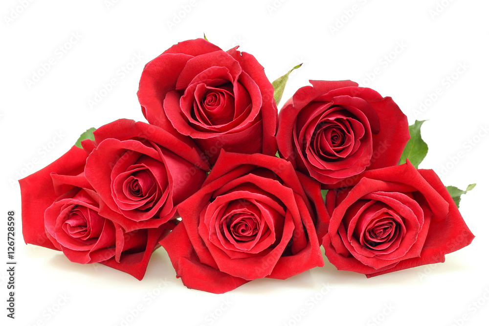Natural red rose isolated on white background Natural red rose isolated on white background