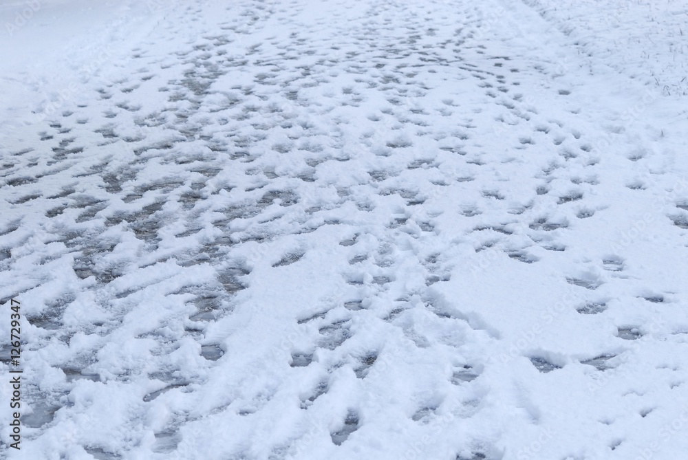 足跡./アスファルトに降った雪に着いた足跡です. 足跡./アスファルトに降った雪に着いた足跡です.