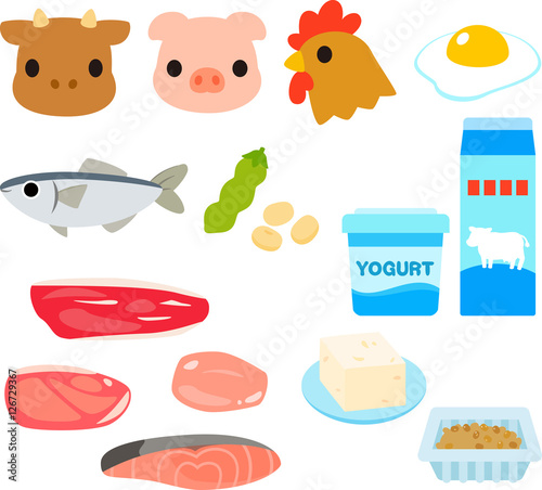 タンパク質を多く含む食品のイラストセット