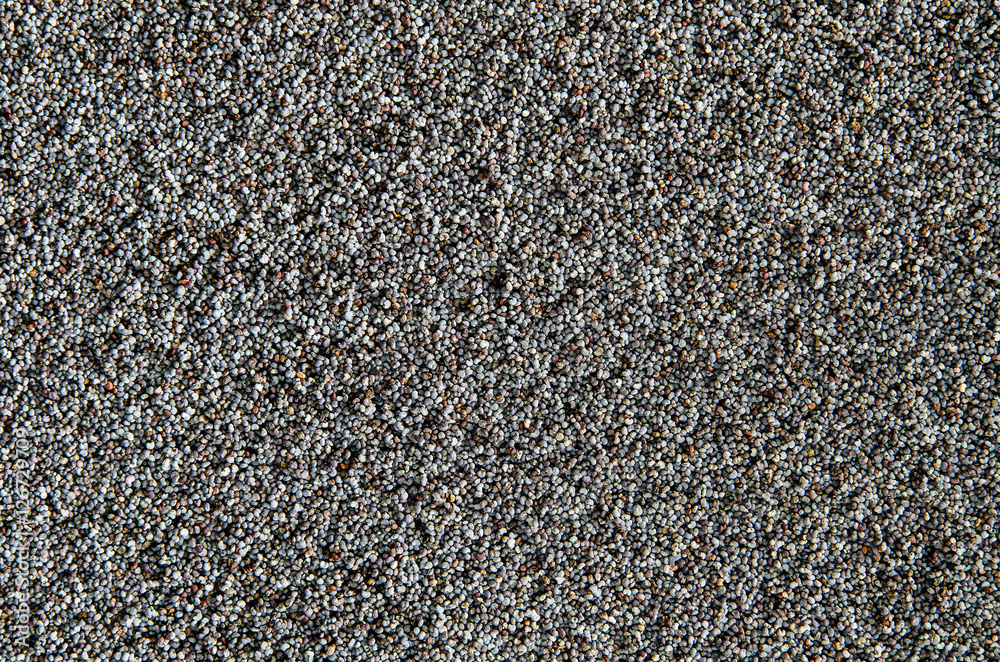 Dried poppy seeds
