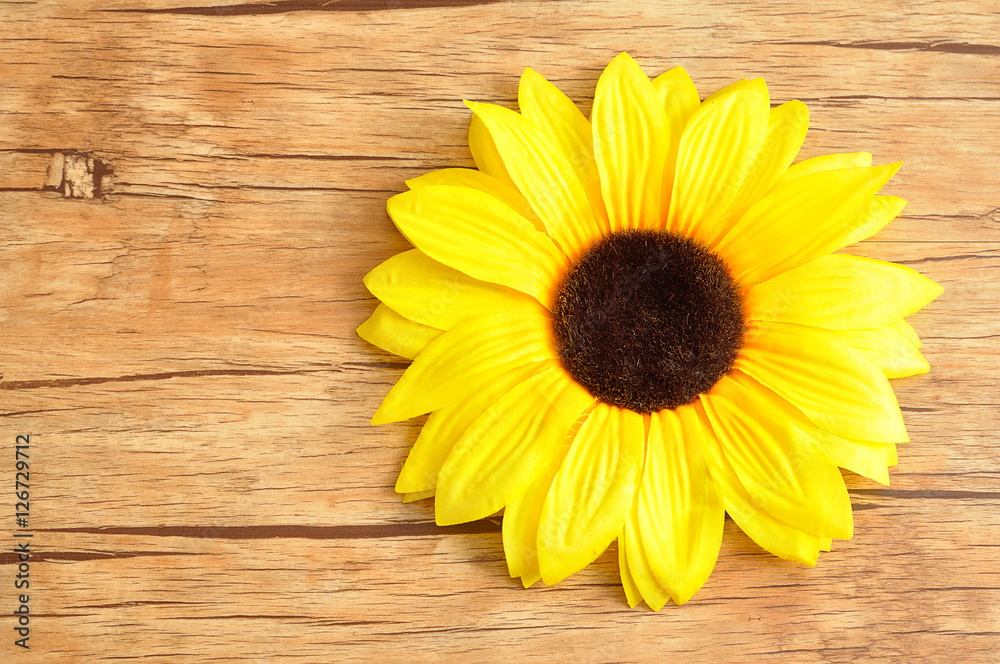Fototapeta premium An artificial sunflower