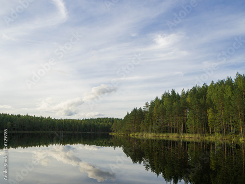 small lake in the middle of forest