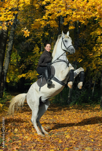 Young woman and her beautiful white arabian stallion rearing up in the autumn woods © horsemen