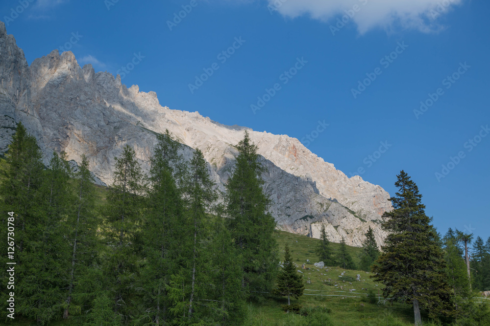 Dachstein Massiv im Sommer