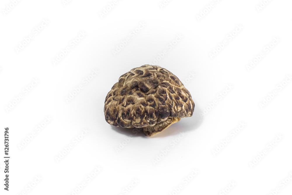 Dried shiitake mushrooms Dried shiitake mushrooms