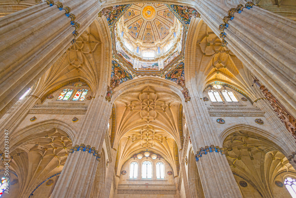 Detail of the medieval cathedral of Salamanca - obrazy, fototapety, plakaty 