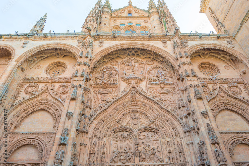 Detail of the medieval cathedral of Salamanca
